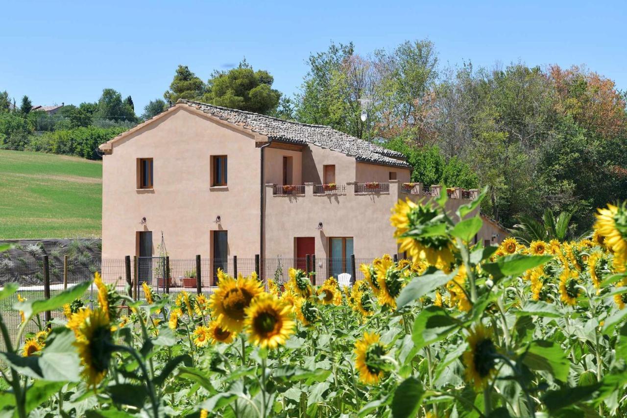 Casa Montefiore 13 Iris Lt Nella Tranquilla Campagna Marchigiana Анкона Екстер'єр фото
