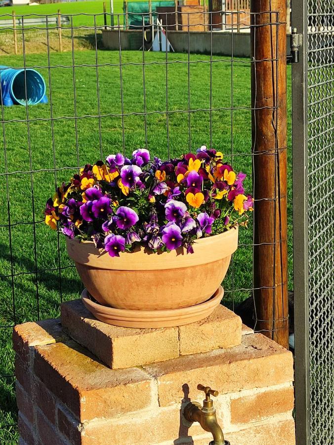 Casa Montefiore 13 Iris Lt Nella Tranquilla Campagna Marchigiana Анкона Екстер'єр фото